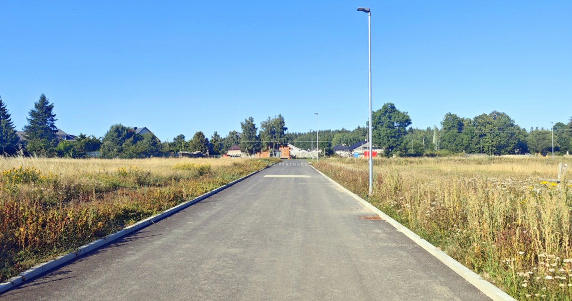 245_5189083397.jpg