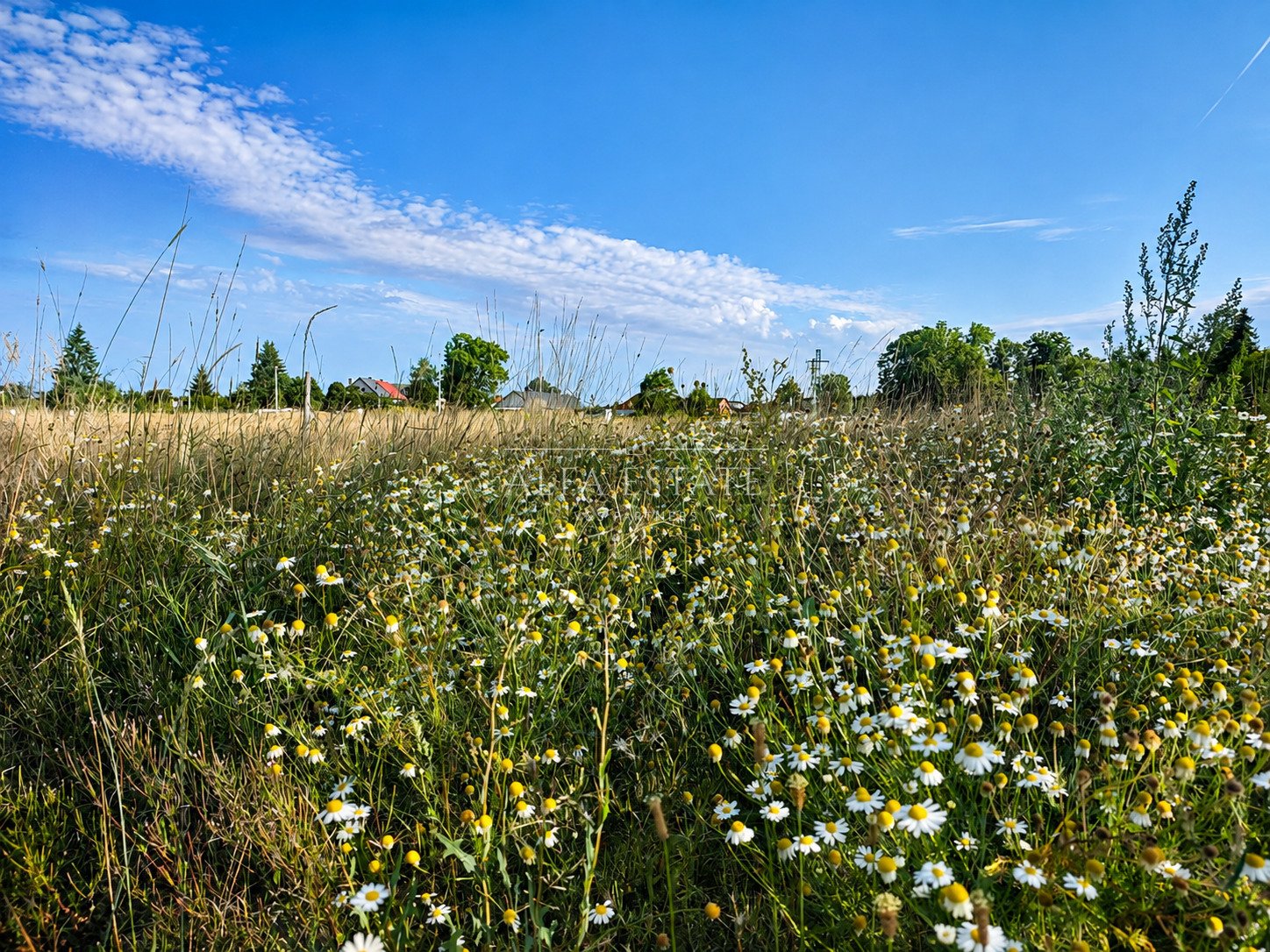 Stavební pozemek 1060 m2, obec Kolová